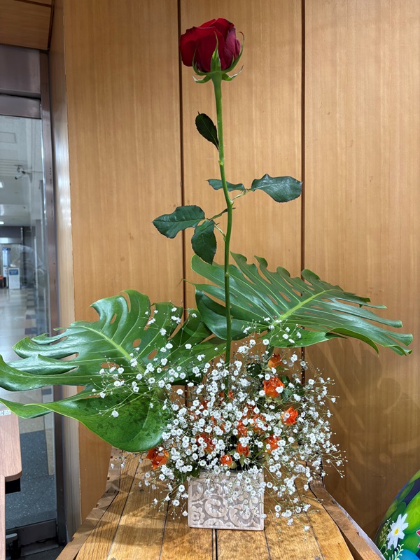 2026年3月30日の週の展示