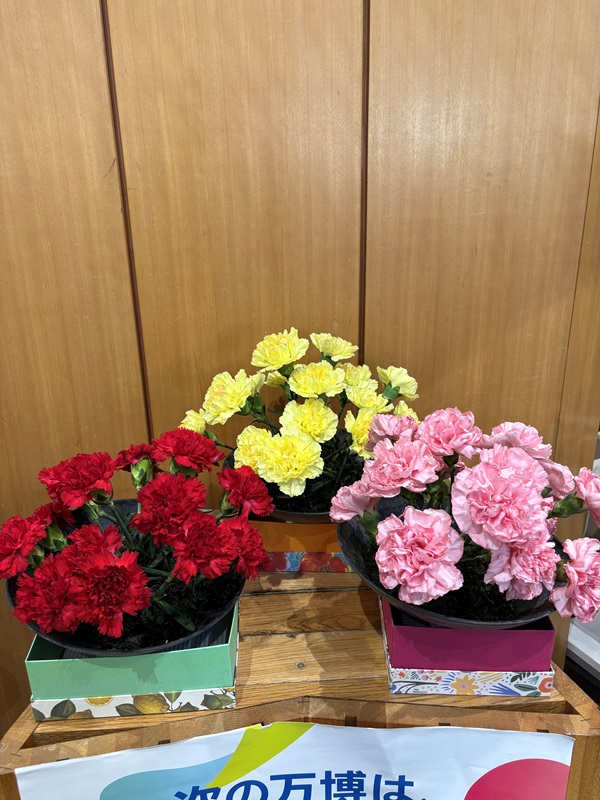 2026年1月13日の週の展示