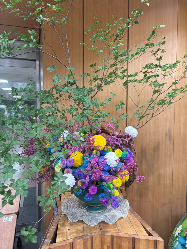 2026年6月22日の週の展示