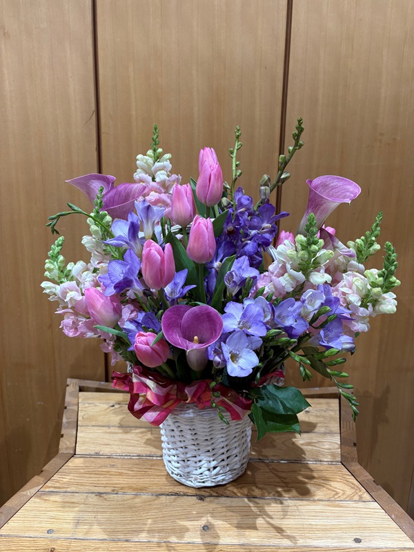 2026年1月19日の週の展示