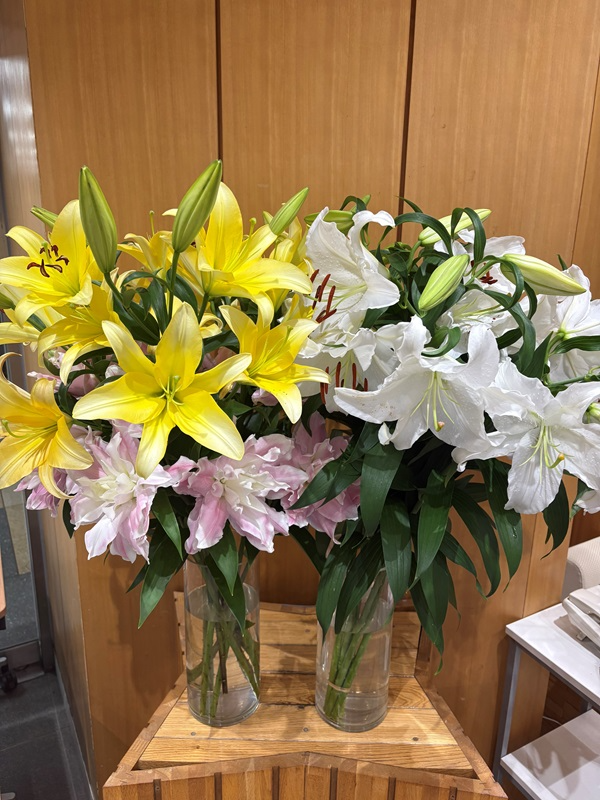 8月18日の週の展示