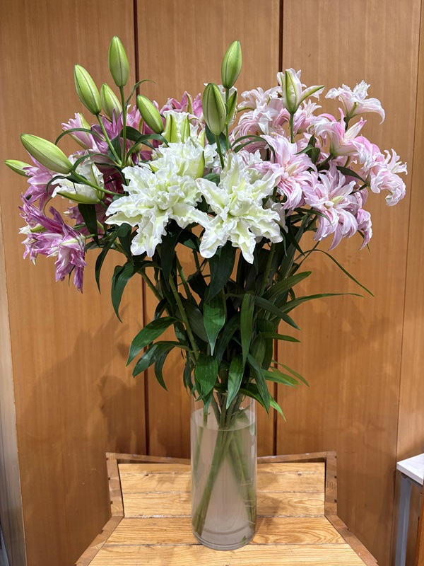 9月1日の週の展示