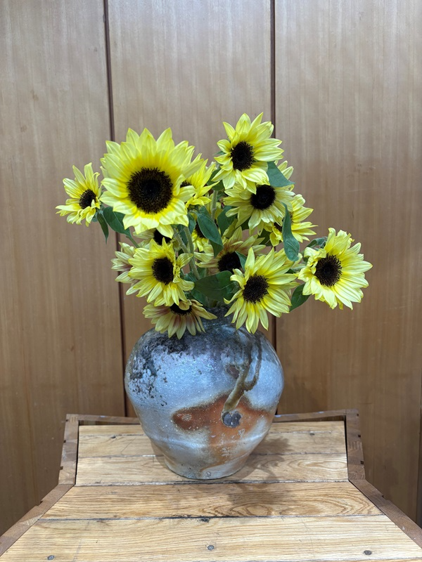 2025年9月29日の週の展示