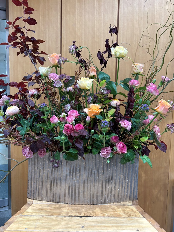 2025年10月20日の週の展示