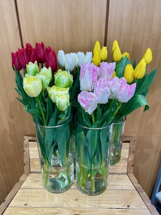 1月13日の週の展示