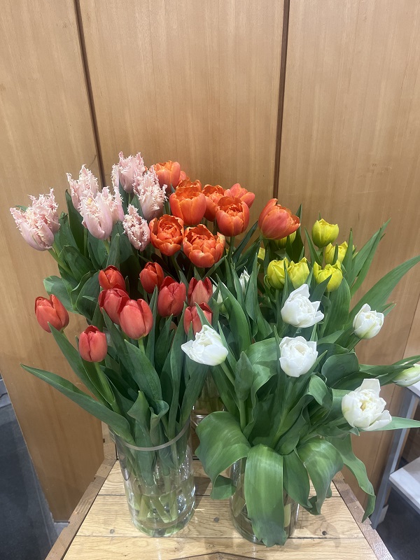 3月3日の週の展示