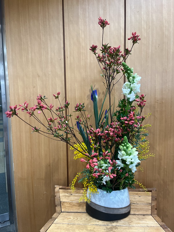 3月10日の週の展示