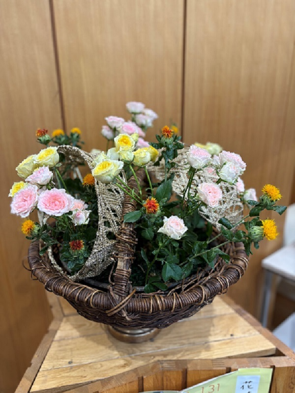 5月12日の週の展示