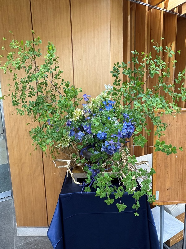 5月19日の週の展示