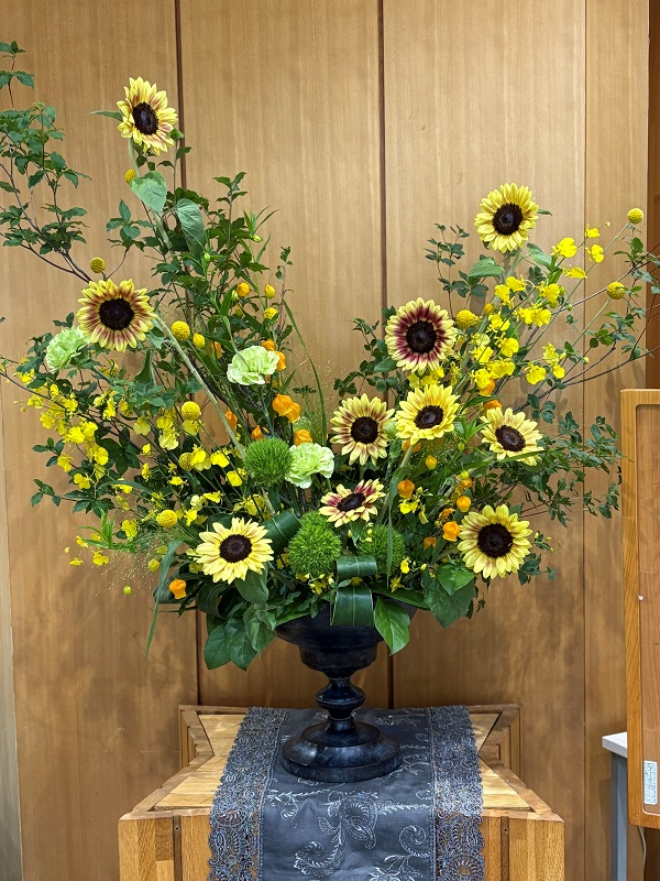 7月7日の週の展示