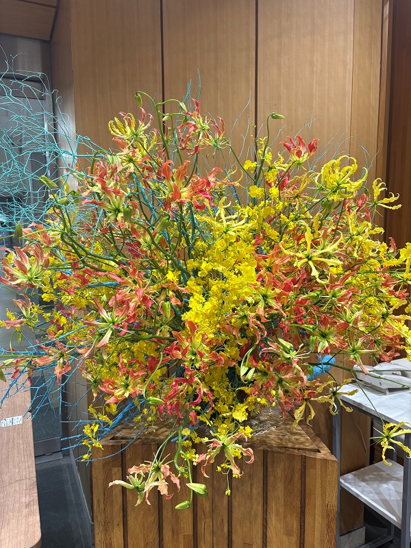 7月14日の週の展示