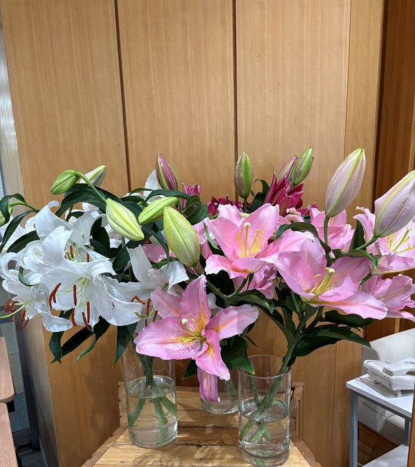 7月22日の週の展示