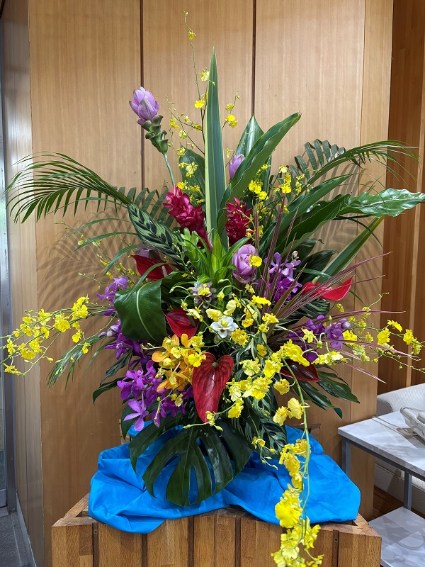 7月22日の週の展示