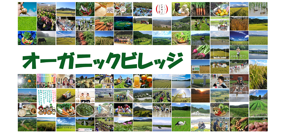 オガビレタイトル