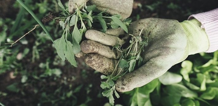 メインイメージ画像