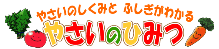 やさいのひみつ