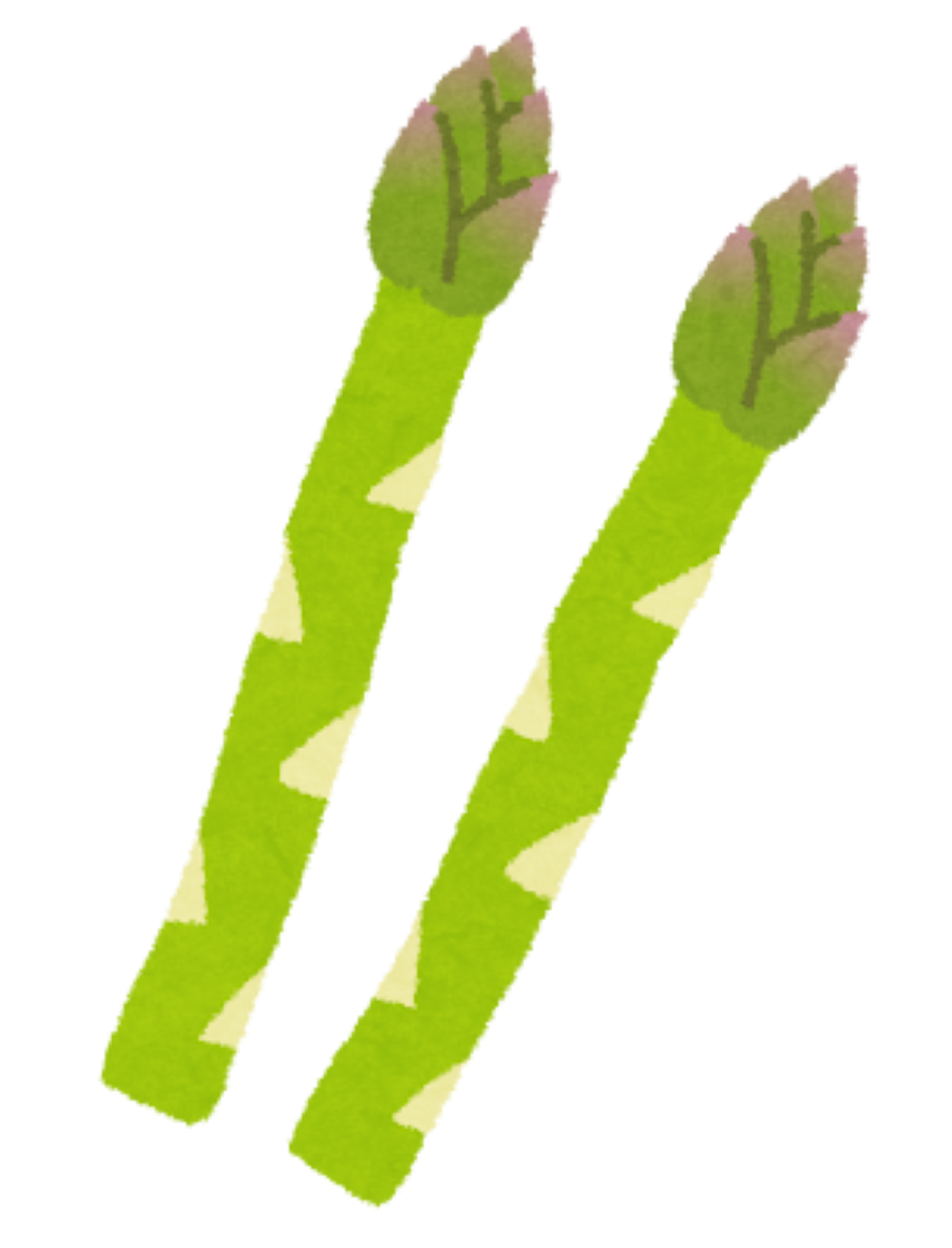 アスパラガスのイラスト