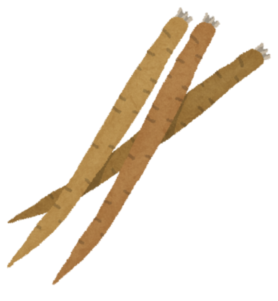 ごぼうのイラスト