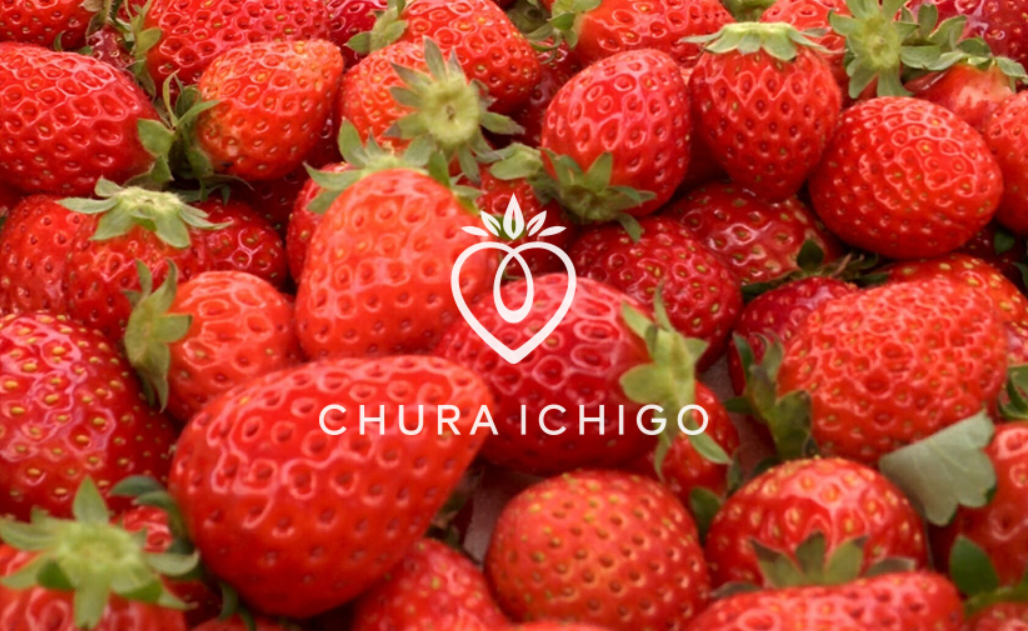 美らイチゴの画像