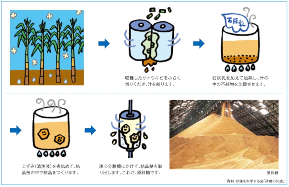 さとうきびから原料糖が出来るまで