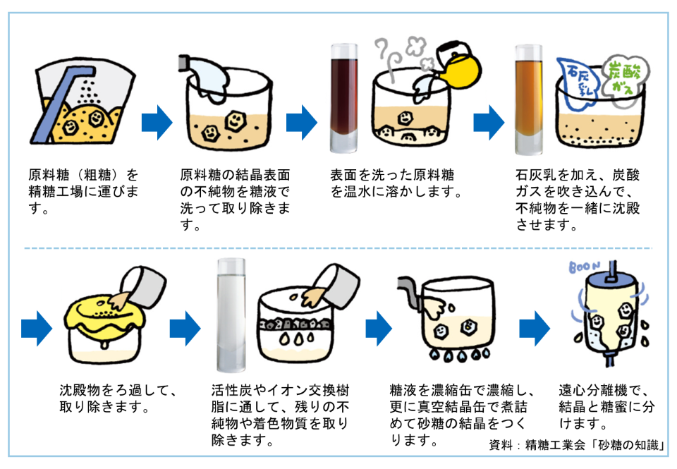 原料糖から精製糖ができるまで