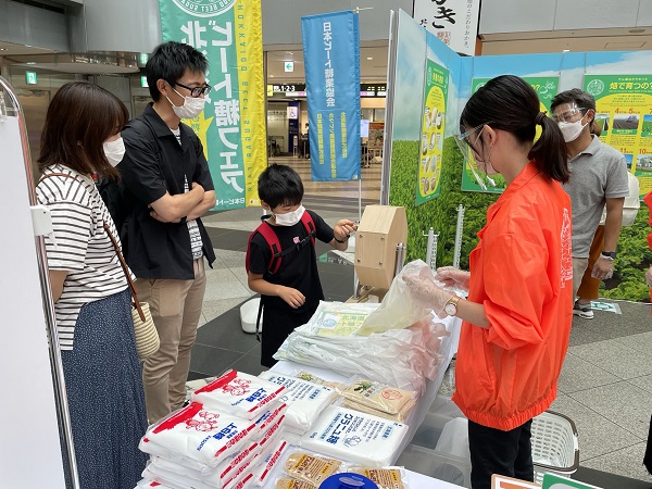 クイズラリーの様子