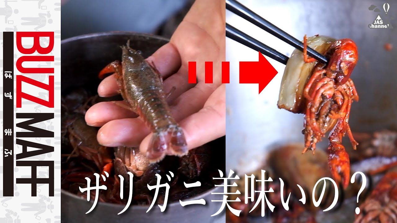 ザリガニを獲って食べてみた