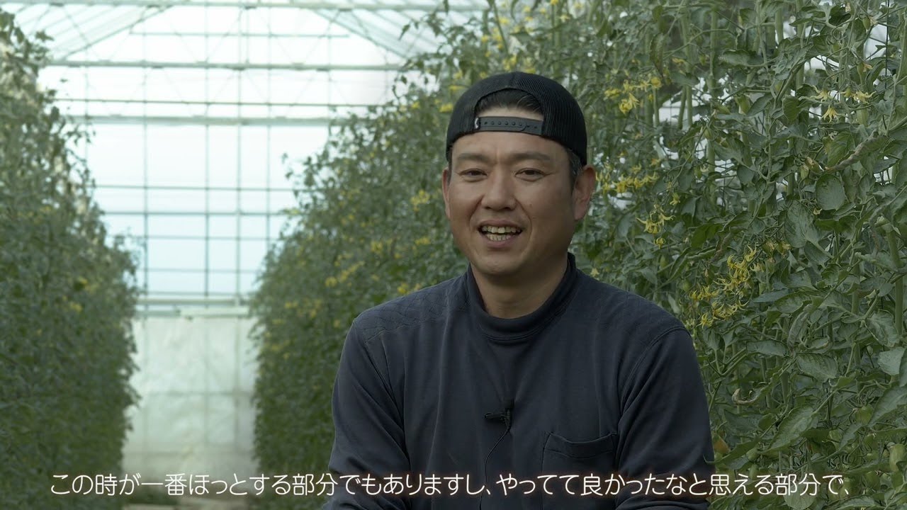 施設栽培動画