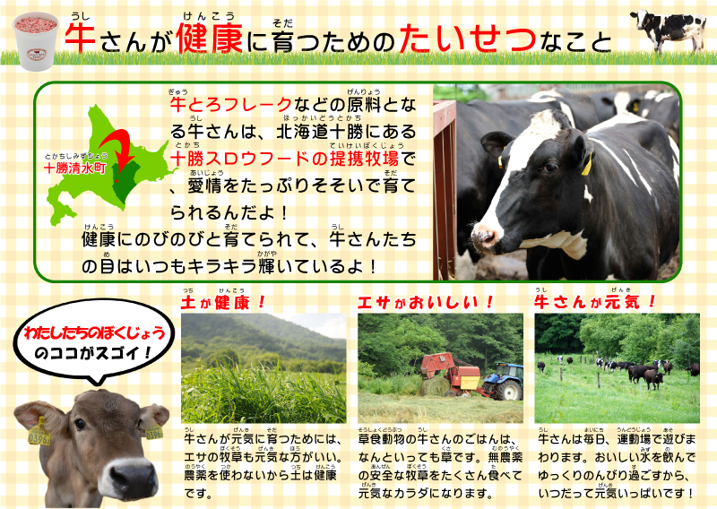 牛トロフレーク01