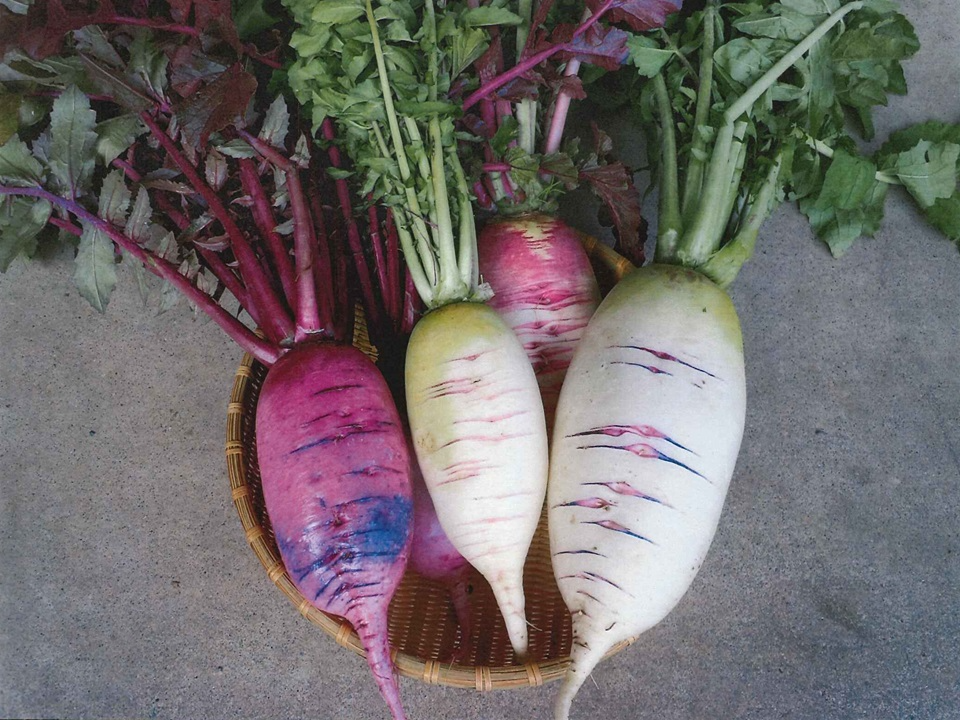 登録産品の画像