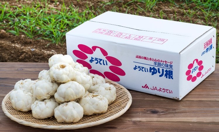 登録産品の画像