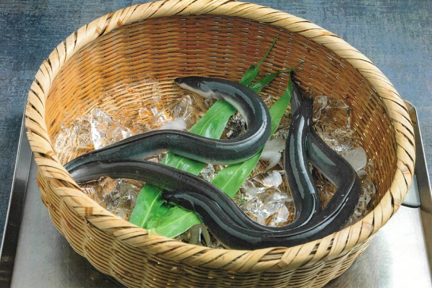 登録産品の画像