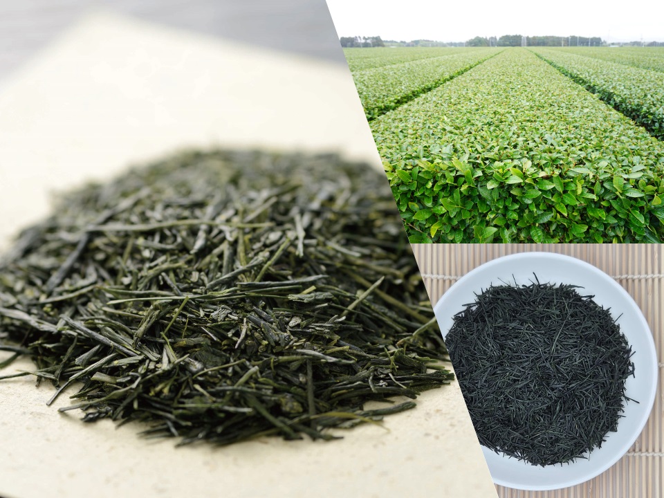 登録産品の画像