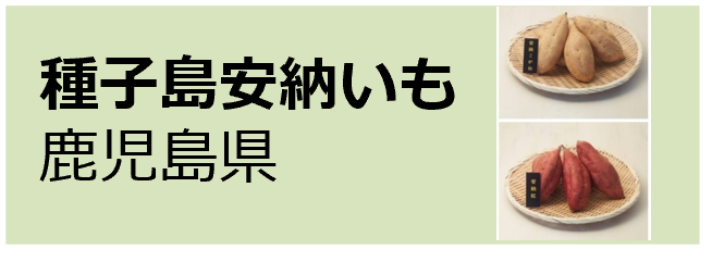 Tanegashima_Annouimo