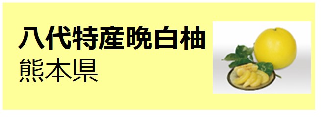 Yatsushiro_Tokusan_Bampeiyu