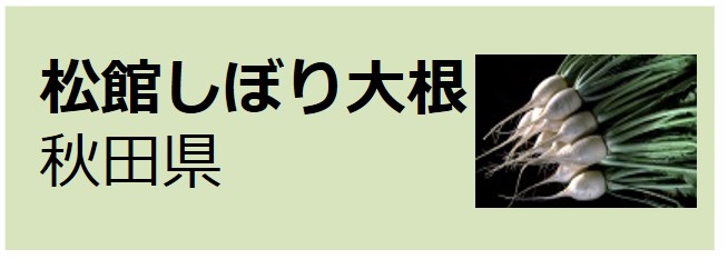 Matsudate_Shibori_Daikon