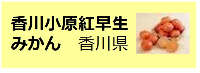 Kagawa_Obarabeniwase_Mikan