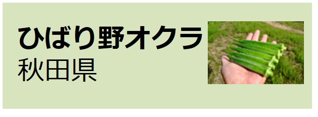 Hibarino_Okra