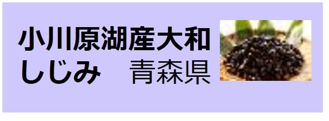 Lake_Ogawara_Brackish_Water_Clam