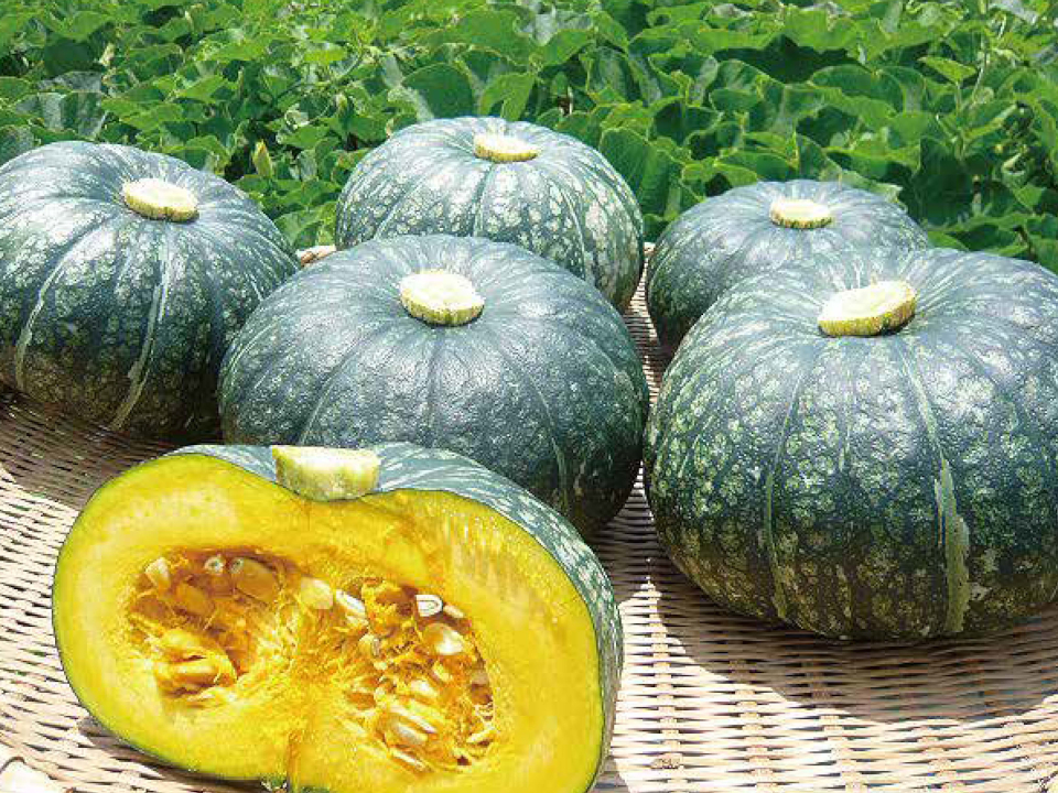 登録産品の画像