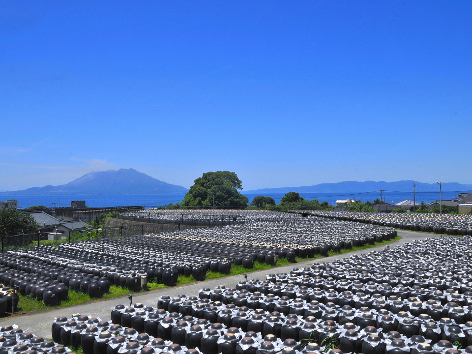 登録産品の画像