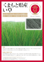 登録産品パネルのサムネイル