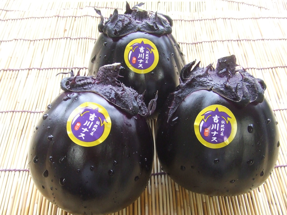 登録産品の画像