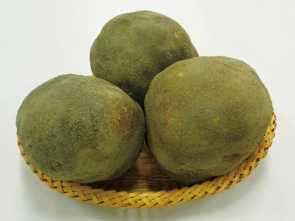 登録産品の画像