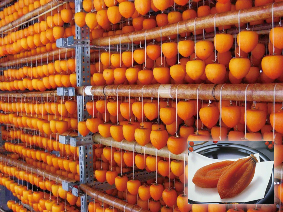 登録産品の画像