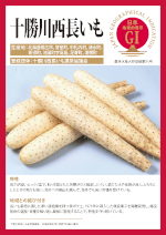 登録産品のパネルサムのネイル