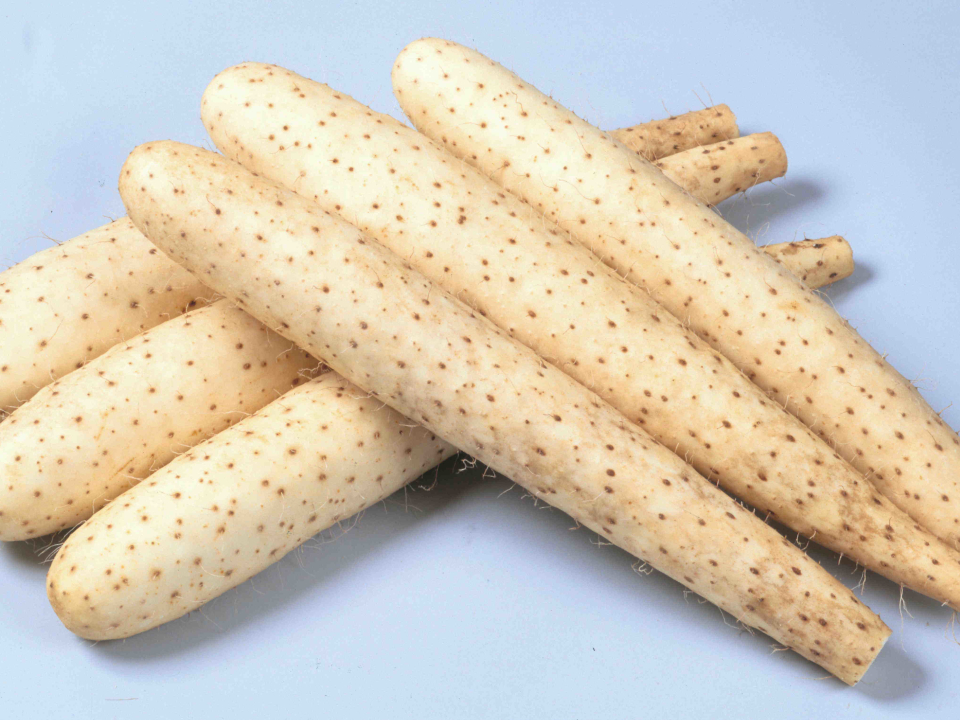 登録産品の画像