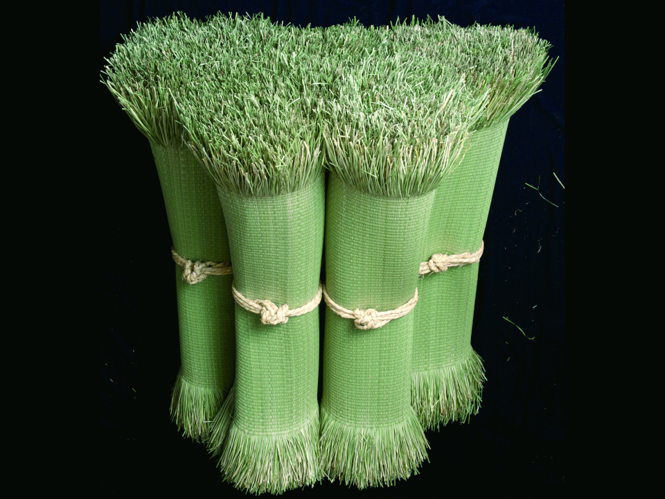 登録産品の画像