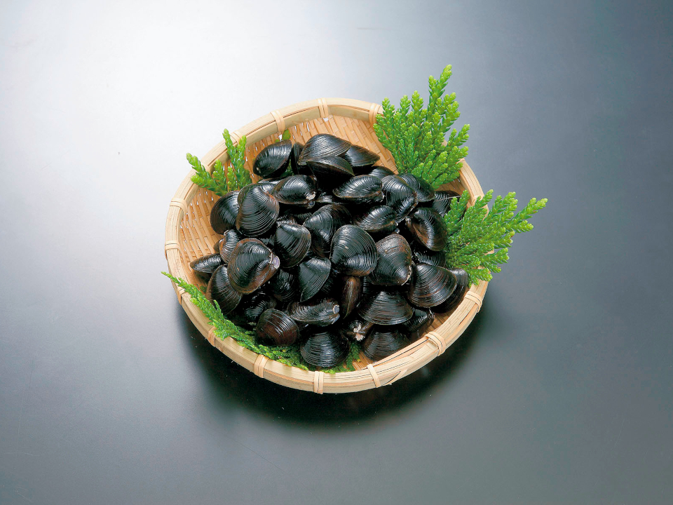 登録産品の画像