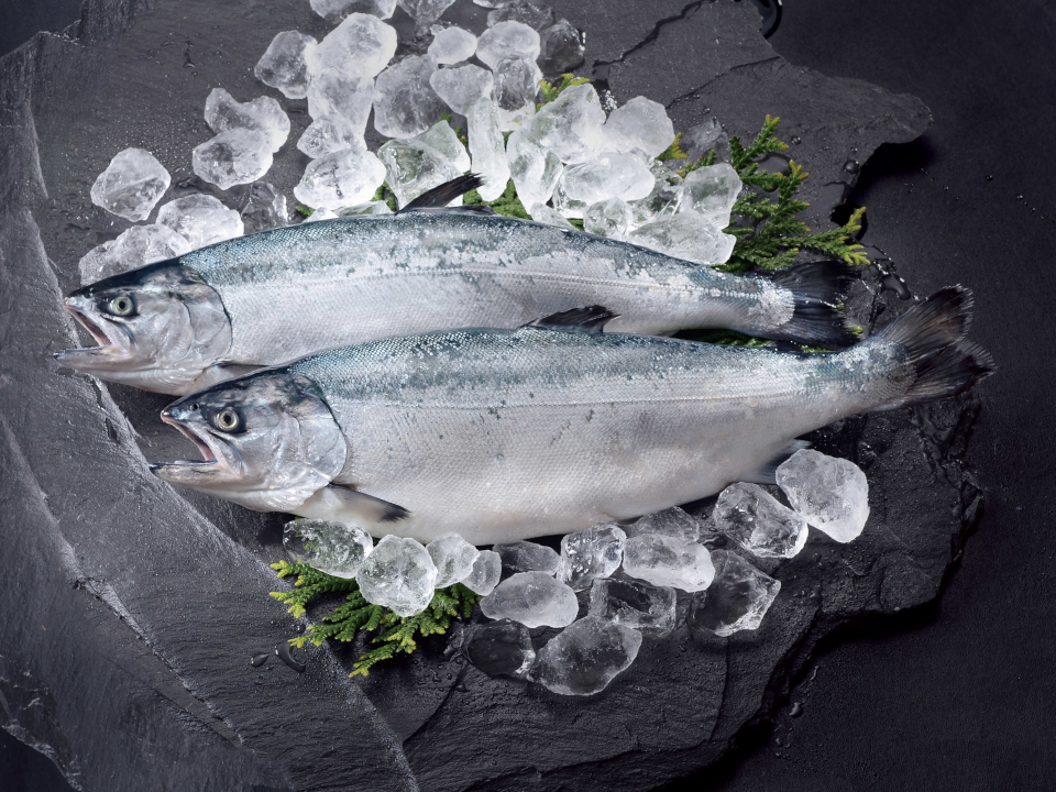 登録産品の画像